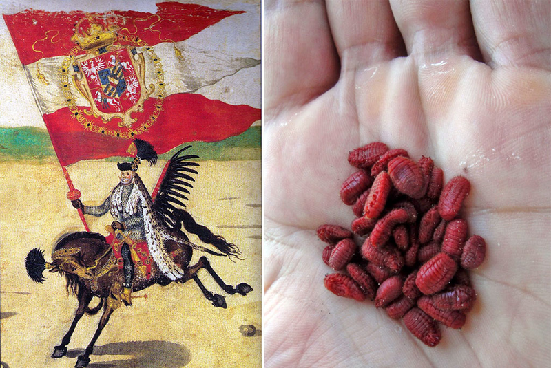 czerwiec polski kolor narodowy