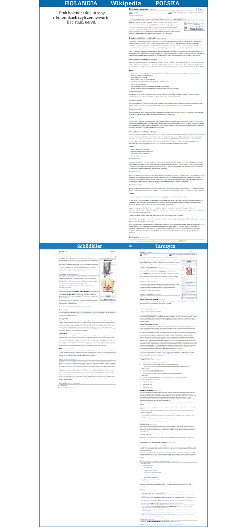 Polska vs. Holenderska Wikipedia