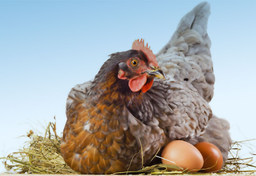 Czy warto słuchać się rodziców?