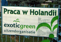 Praca i płaca w agencji pośrednictwa