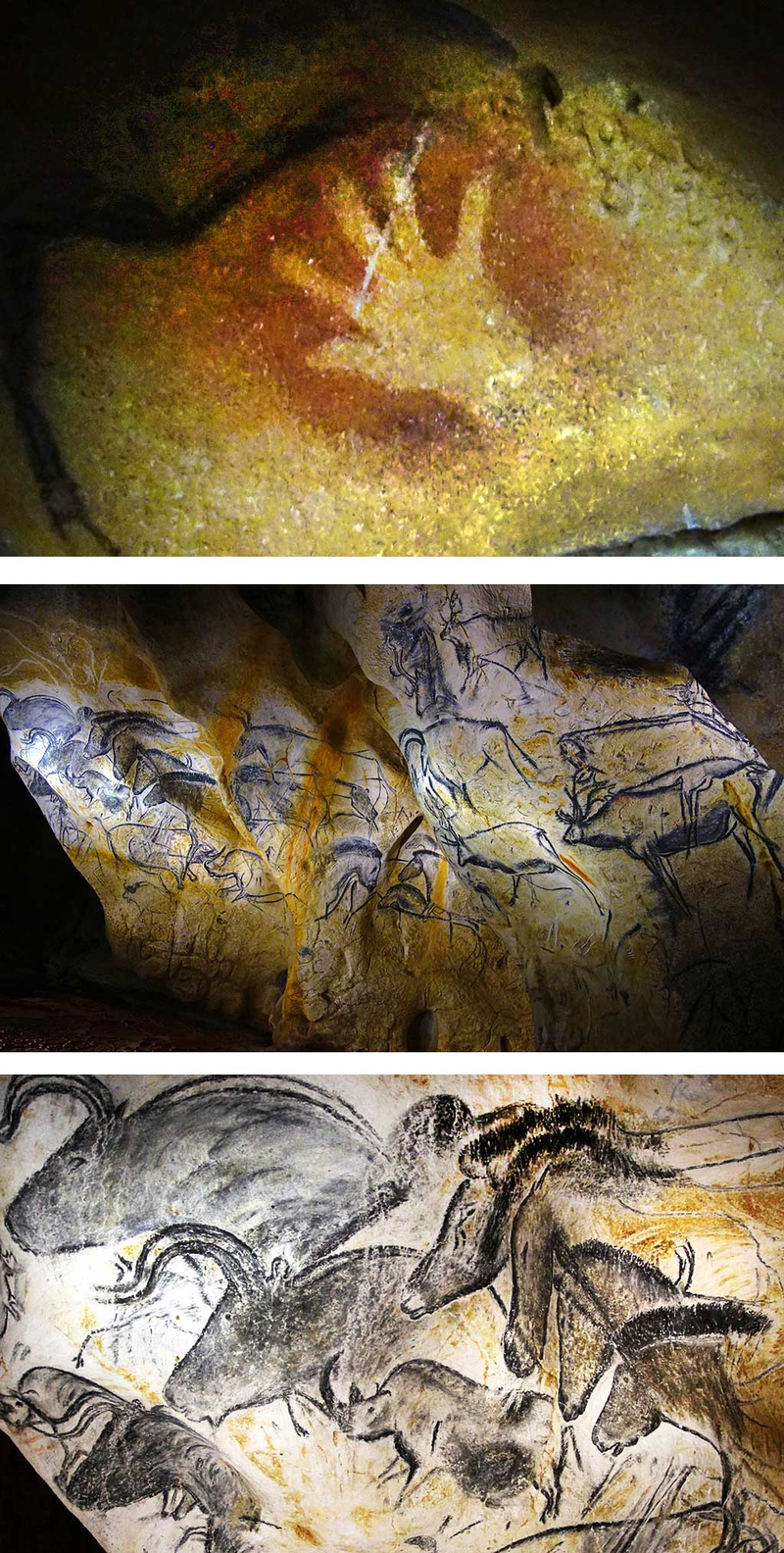 Odcisk dłoni człowieka sprzed 30 tys. lat oraz inne rysunki z groty Chauvet Pont d'Arc we Francji. 