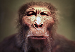 Siedem nieporozumień wokół teorii Darwina 