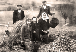 Ślady społeczeństwa klasowego, czyli Holender w Polsce II