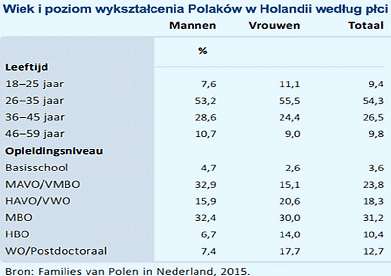 Polacy w Holandii