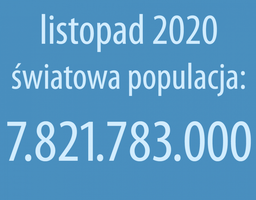 Statystyki Internetu