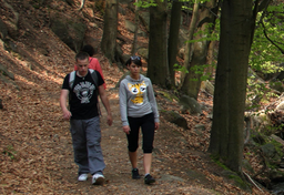 Szczyt wakacyjnych irytacji w Polsce 2011