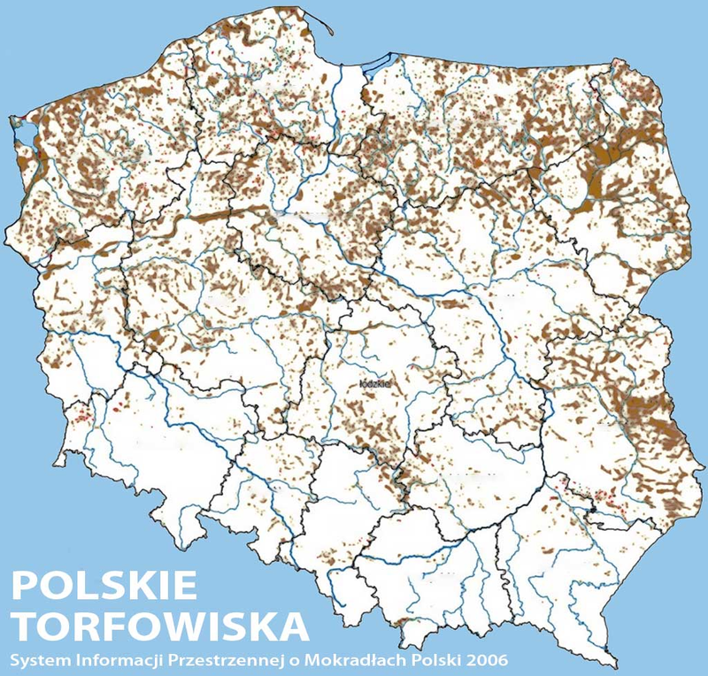 Mapa torfowisk w Polsce
