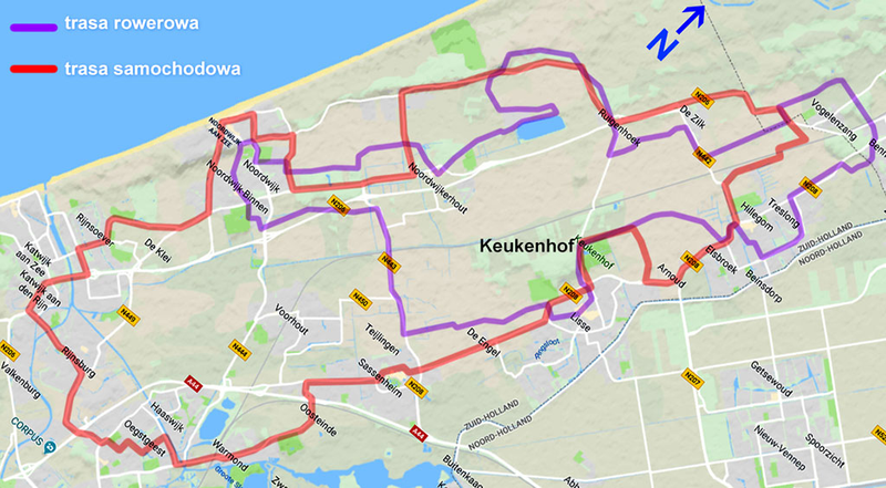 trasy pól tulipanów w Holandii