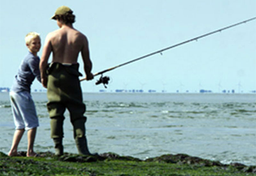 Wędkarstwo i ryby w Holandii