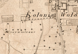 Wiatraki holenderskie w Polsce