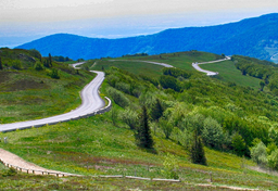 Alzacja, kraj idealnych wakacji