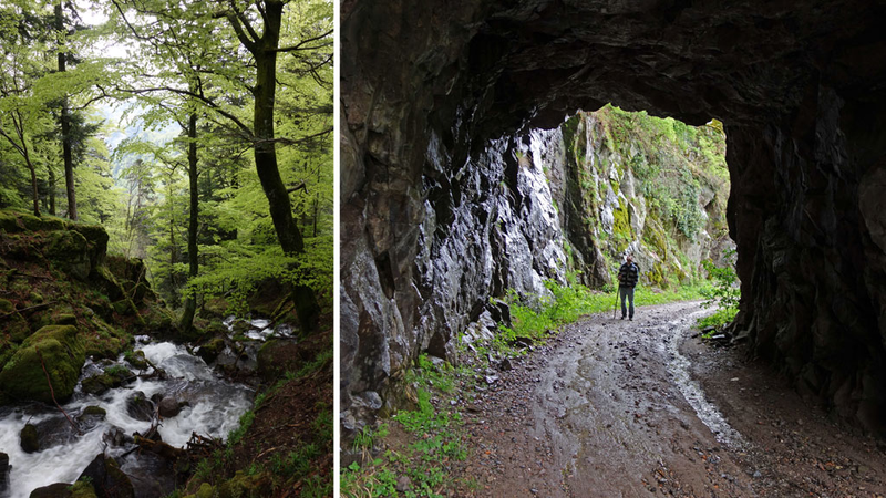 szlaki piesze w Wogezach