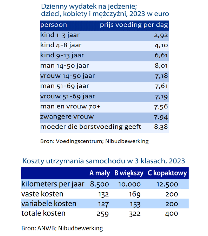 wydatki na jedzenie i samochód