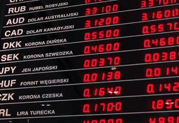 Wymiana euro na złotówki - co się opłaca?