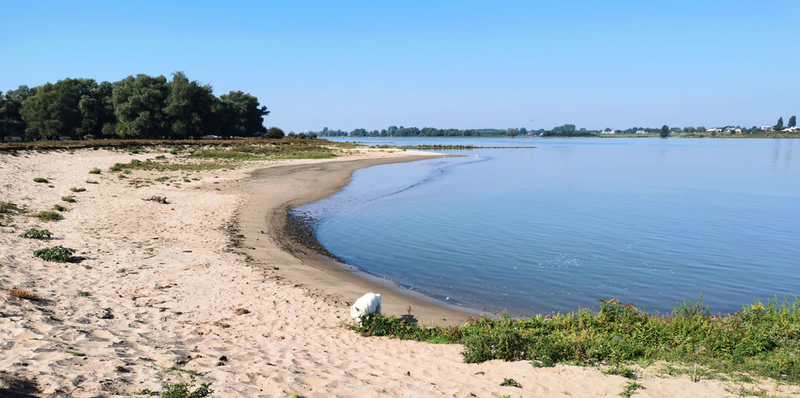 holenderski zamek Loevestain nad Renem