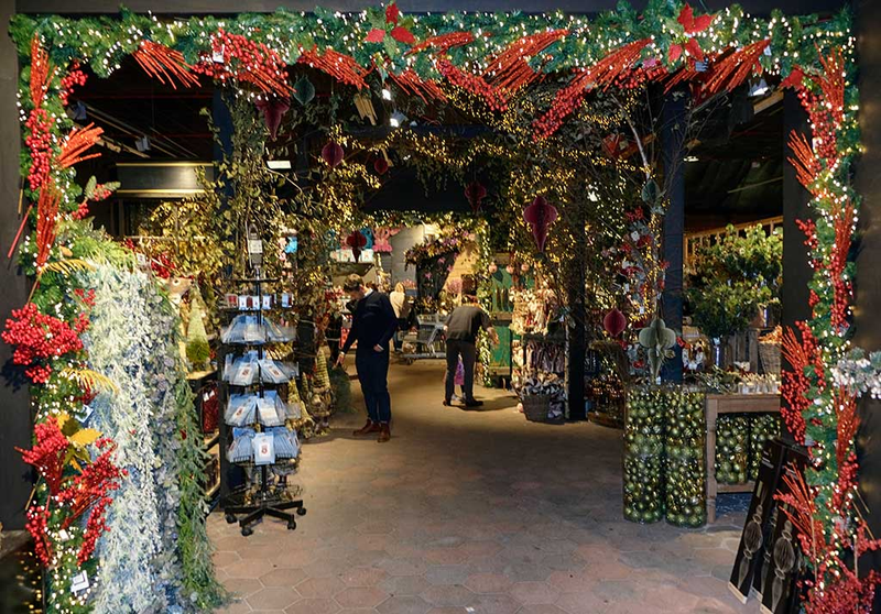 Holenderski sklep w październiku 2024