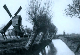 Holenderskie poldery w Polsce