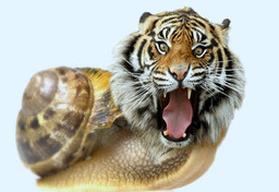 Błędy, jakie Polacy popełniają na Zachodzie