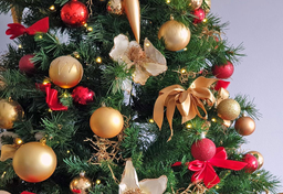 Protestancka choinka kontra katolicka stajenka