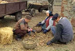 My Męczennicy ale dla Zachodu wciąż pospolici chłopi