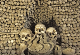 Dżuma - pandemia średniowiecznej Europy