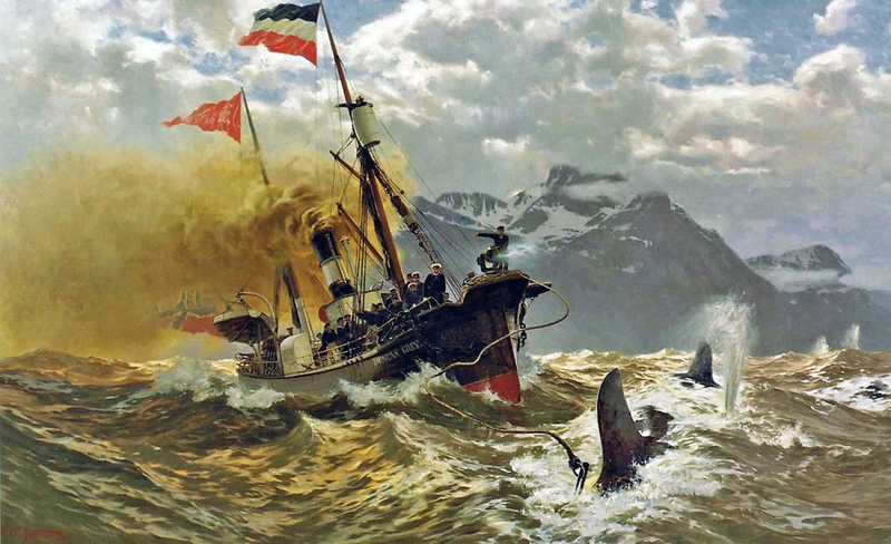 Połowy wielorybów w XIX w