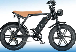 Fatbike w kraju rowerzystów