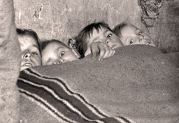 Nisza lub nocna alkowa czyli łóżko w szafie