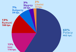 Polacy w Holandii 2024