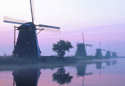 Ciekawostki o holenderskich wiatrakach