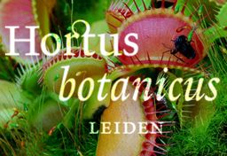Ogród botaniczny w Lejdzie (Leiden)