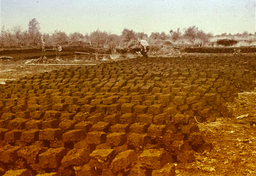 Depresja na torfowisku - historia holenderskiego paliwa