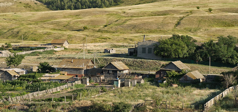 na zielonej Ukrainie