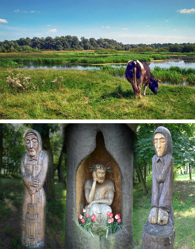 polskie wiejskie klimaty