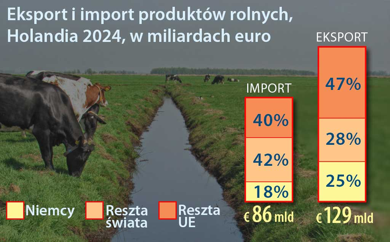 Import i eksport produktów rolnych w Holandii 2024