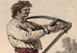 Polacy! Skąd jesteśmy i dokąd idziemy