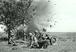 Krwawe statystyki ludzkiego obłędu