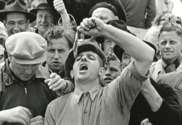 Dzień chorągiewek czyli narodowe święto śledzia