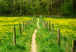 Szlak wędrowny przez Holandię