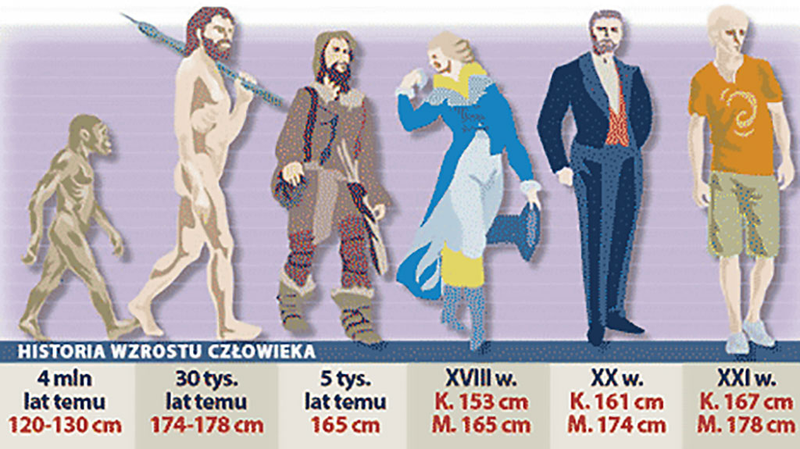 teoria wzrostu człowieka