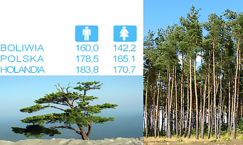 teoria wzrostu człowieka