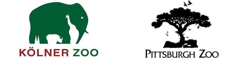 Piękne logo z ukrytą treścią