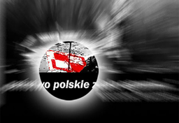 Świat widziany przez słomkę