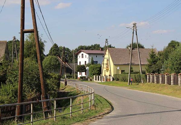 Zauważone w Polsce 2010