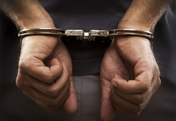 Zbrodnia i kara po holendersku