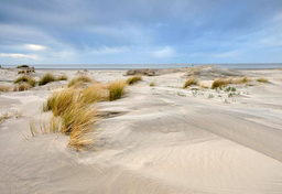 Kwade Hoek (zły kąt)