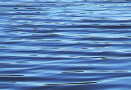 Zużycie wody na głowę mieszkańca Holandii